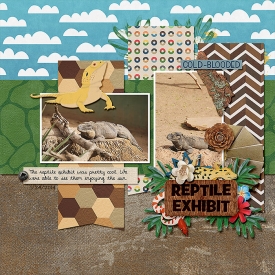 2014-01-24-reptileexhibit_sm.jpg
