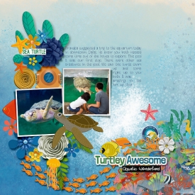 2015-07-08-turtleyawesome_sm.jpg