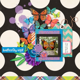 2016-10-13-butterflyvisit_sm.jpg