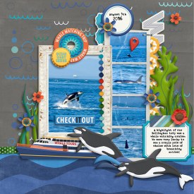 20160805-killer-whale.jpg