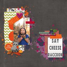 2017-10-22-saycheeseraccoon_sm.jpg