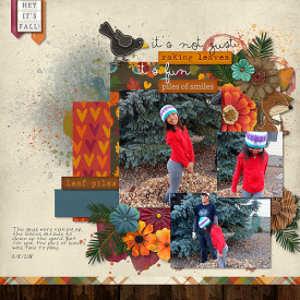 2018-11-18-notjustrakingleaves_sm.jpg