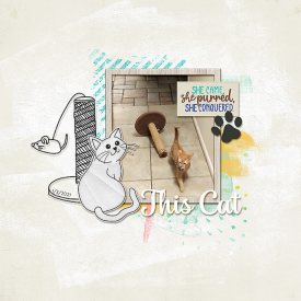 2021-01-03-thiscat_sm.jpg