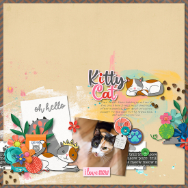 2021-02-19-kittycat_sm.jpg