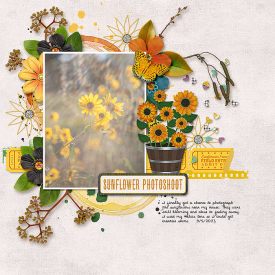 2023-09-05-sunflowerphotoshoot_sm.jpg