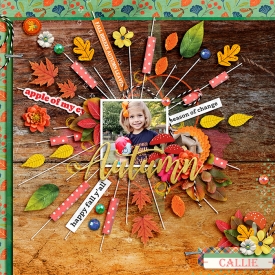24002cmg-fall-string-template1-copy.jpg