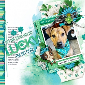 2cmg-irish-luck-cs3.jpg