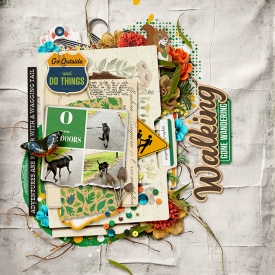 700KADesigns_FieldGuideFoldersLT01.jpg