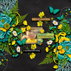 Buttercup1.jpg