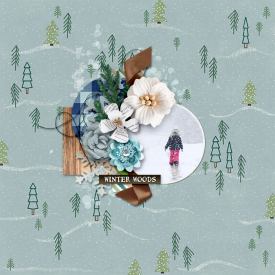 CMG_WinterWoods_KDBOS21.jpg