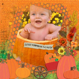 Cutest-Pumpkin-in-the-Patch.jpg