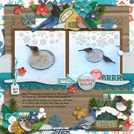 E-clevermonkeygraphics-snowwhoawoe-tracey2.jpg