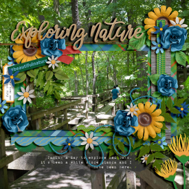 ExploringNatureRedOak-Dalis_700.jpg