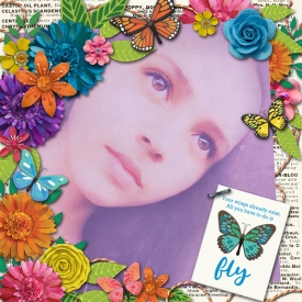 Fly25.jpg