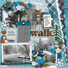 FrostyWinterWalkWEB.jpg