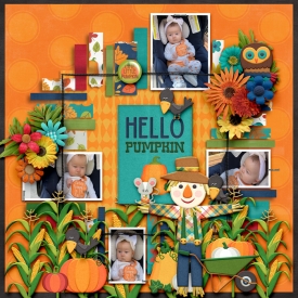 Gallery-Hello-Pumpkin.jpg