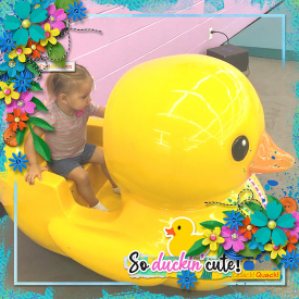 HSA-the-bigger-picture-8_cmg_rubberducky_robin_700.jpg