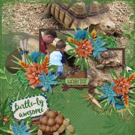Habitat.jpg