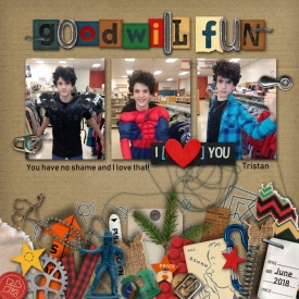 June-2018-Goodwill-Fun.jpg