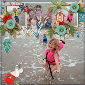MFish_BigSummerFun2_ljscoastalcraze_cmgkeys_robin_700.jpg