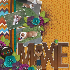 Maxie.jpg