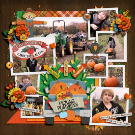 Pumpkin-Patch-2012.jpg