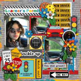 RachelleL_-_Learn_2_Drive_by_CMG_-_cschneider-set261pg3_700.jpg