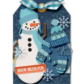 SSD-Snow-Much-Fun-Tag.png