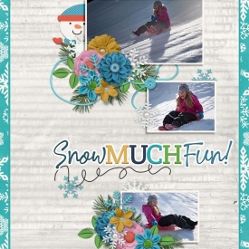 SnowMuchFun4.jpg