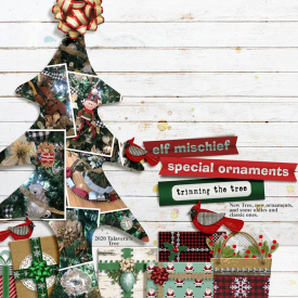 SpecialOrnaments_Dalis_700.jpg