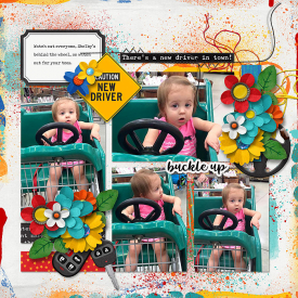 Tinci_JBI1_cmg_learn2drive_robin_700.jpg