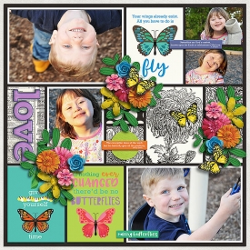 Tinci_Marchd2_1butterflysseason.jpg