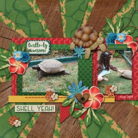 Turtle-ly-Awesome.jpg