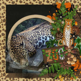 Zoo71.jpg