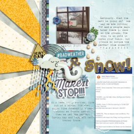 badWeatherNSnowMakeItStop_Dalis-700.jpg