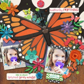 butterfly-everything.jpg