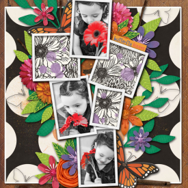 butterfly-kisses.jpg