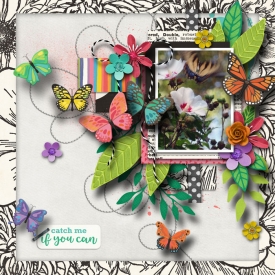 butterfly-template-2.jpg