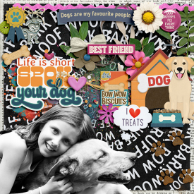 clever-monkey-graphics-A-dog_s-life-too.jpg