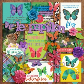 clever-monkey-graphics-Butterfly-season.jpg