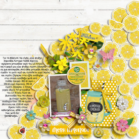 clever-monkey-graphics-Lemonade_season.jpg