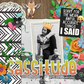 clever-monkey-graphics-Sassitude.jpg
