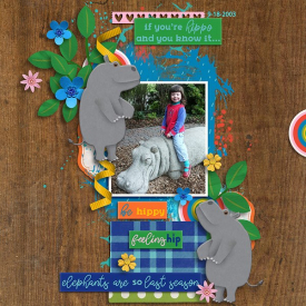 clever-monkey-graphics-hooray-hippos-tracey1.jpg