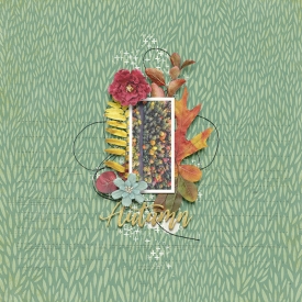 cmg-autumn-adventure.jpg