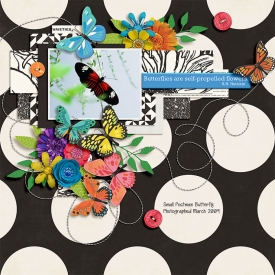 cmg-butterfly-template2_700.jpg
