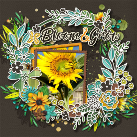 cmg-digicut-shell-wreath-sunflower-sayings.jpg