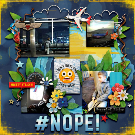 cmg-frequentflyer.jpg