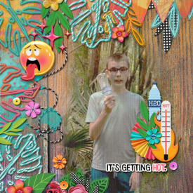 cmg-monstera-leaf-heatwave.jpg