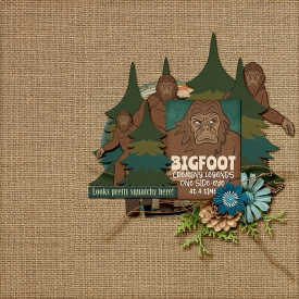 cmg_bigfoot_robin_700.jpg