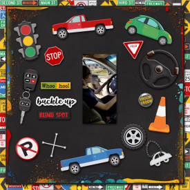 cmg_learn2drive.jpg